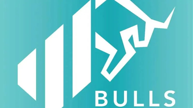 SPK kararının ardından Bulls Portföy’den açıklama